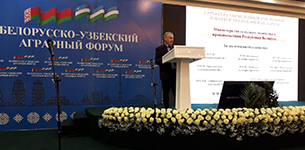Participation in the Belarusian-Uzbek Agrarian Forum