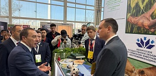      KAZFARM-2025/KAZAGRO-2025   -ʲ   